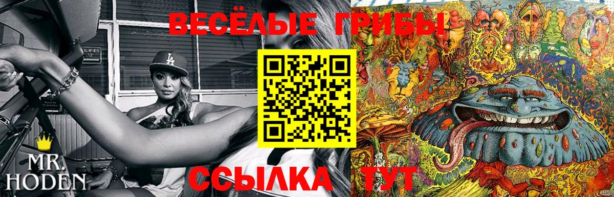 Псилоцибиновые грибы Psilocybe Аша