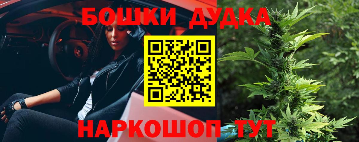 Марихуана планчик  МАРИХУАНА план  Аша  Бошки марихуана Bruce Banner  Вход с VPN 